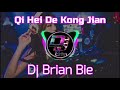 qi hei de kong jian 漆黑的空间 remix by dj brian bie