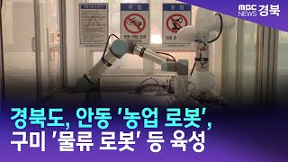 경북도, 안동 '농업 로봇', 구미 '물류 로봇' 등 육성 / 안동MBC