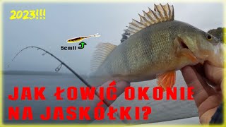 Jak łowić Okonie na Jaskółki? | Okonie na spinning!! | Wędkarstwo2023!!!