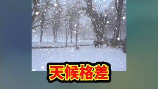 【あにまん】天候格差【ポケモン反応集】