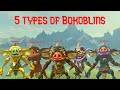 5 Types of BOKOBLINS (Botw)