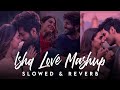 Ishq Love Lofi Mashup 2024 | Trending Lofi Love Mashup | Copy Unlimited