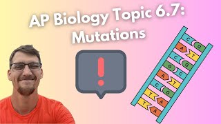 (2019 curriculum) 6.7 Mutations - AP Biology