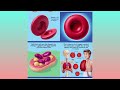 Understanding RBC (Red Blood Cells): Detailed Insights into Science and Health