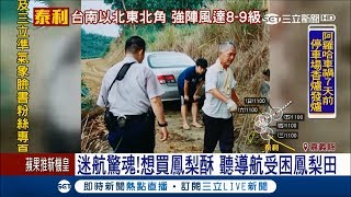 導航鳳梨酥變鳳梨田！ 男子車慘卡泥地GG了｜記者 廖國雄 陳嘉筠｜【LIVE大現場】20170913 | 三立新聞台