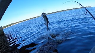 Landing A Tarpon With A Broken Rod | Kayak Fishing Choctawhatchee Bay Near Destin