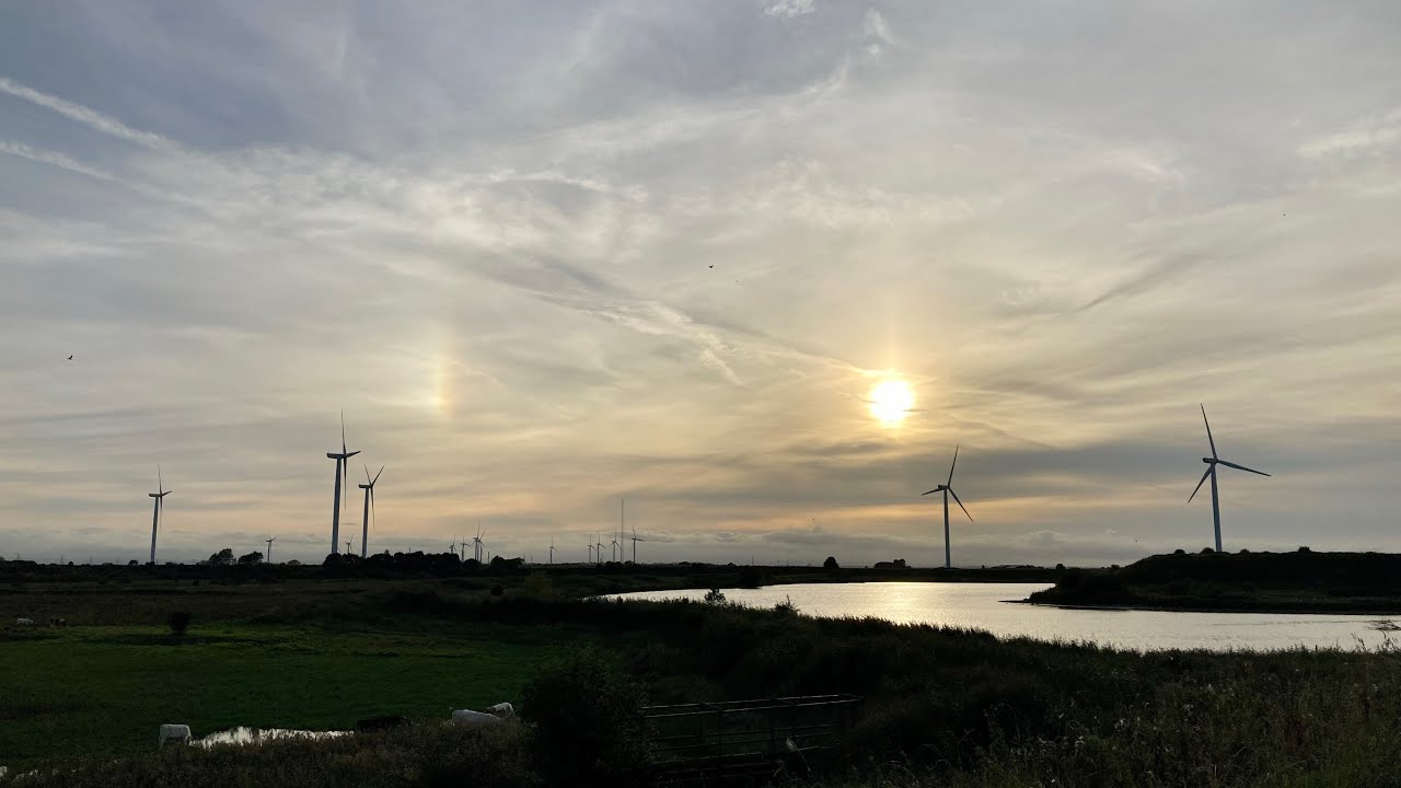 Frodsham Marshes Walk Cheshire. A Different Viewpoint. Great Wildlife ...