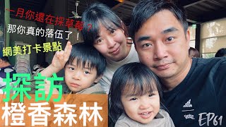 【開特斯拉去旅行】 ep61 每逢一月你還在採草莓嗎？那你就落伍了！現在採橘子才新鮮。探訪網美景點『橙香森林』！