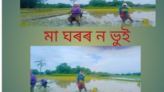 (ন ভুই খাব আহিলো আকৌ)