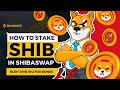 HOW TO STAKE SHIB IN SHIBASWAP from BINANCE to METAMASK and BURY SHIB IN SHIBASWAP FOR BONE COINS