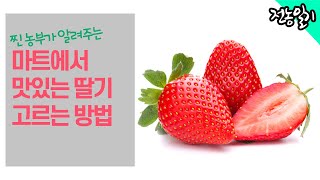 [TIP-1] 마트에서 딸기 잘고르는법