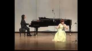 Carmen Fantasy by Sun Huang, Chinese violin - Erhu