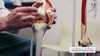 Understanding Arthritis