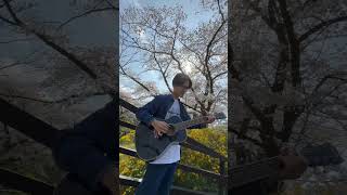 JR東海 御殿場線 山北駅周辺【神奈川自然探訪】 #桜 #花見 #散歩 #acousticguitar #shorts