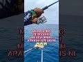 Bot sewa memancing Kuching Sarawak roger roger aku #fishing #mancing #mancingmania