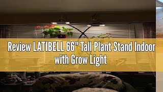 Review LATIBELL 66\