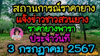 แจ้งข่าวชาวสวนยาง ราคายางพาราประจำวันที่ 3 กรกฎาคม 2567