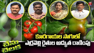 Chenu Chelaka | Gud innovative in vegitables cultivation By Erravelli Farmars | T News