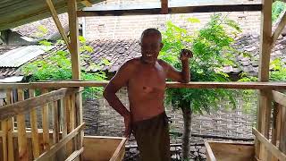 MBAH TRIMO DUKUH DEPOK KEC SIMAN PONOROGO KALI INI KANDANG BUAT DOMBA...