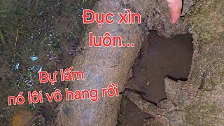 Đêm thả câu trúng mánh toàn cá bự. Cá lôi chìm phao là sướng liền | Săn bắt SÓC TRĂNG |