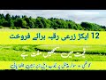 12 acer agriculture land for sale in Punjab Pakistan | زرعی رقبہ برائے فروخت ڈیرہ بنا ہوا راستہ