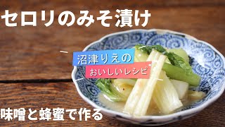 味噌と蜂蜜で極旨。昨日ご紹介したミネストローネを作った方は、残ったセロリを使ってぜひこの漬け物を作ってみてください。味噌と蜂蜜で簡単に作れて、極上の味わい。ご飯におつまみに。セロリの味噌漬け