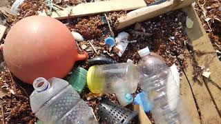 Marine litter in Tsushima Is., Japan. 対馬クジカ浜の漂着ごみ