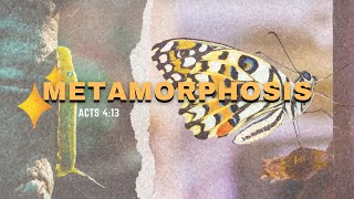 Sermon: Metamorphosis | Reading: Acts 4:13