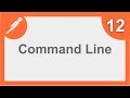 POSTMAN BEGINNER TUTORIAL 12 💡 How to run from Command Line (Newman)