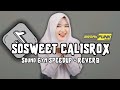 DJ SOSWEET CALISROX GYM SPEEDUP VIRAL TIKTOK