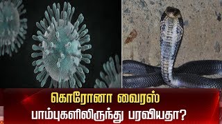 கொரோனா வைரஸ்  பாம்புகளிலிருந்து பரவியதா?