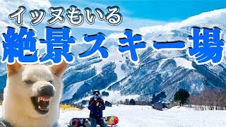 【スノボちゃん】白馬岩岳スノーフィールド