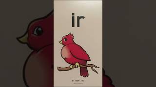 IR bird /er/