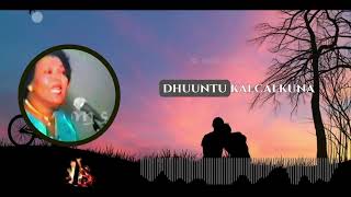 Dhabtuu Jacayku Yalaa (Original)