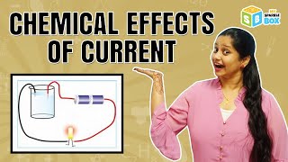 Chemical Effects of Electric Current | Grade 8 Science Experiments | Kids Easy Science | Sparkle Box