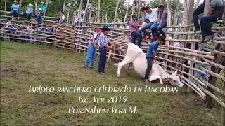 jaripeo ranchero celebrado en Tancoban Ixc. Ver. 2019( 2da  parte)