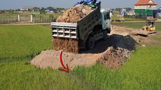 Start incredible new PROJECT! Power machinery, dump trucks \u0026 dozer fill-up dirt into new landfill