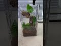 diy jumping spider enclosure