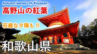 和歌山県 高野山の紅葉（壇上伽藍・根本大塔・大門の夕陽） / Autumn leaves of Koyasan Sanctuary ( Wakayama, Japan )【日本の紅葉絶景！】