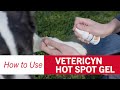 How To Use Vetericyn Antimicrobial Hot Spot Gel