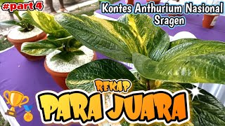 REKAP PARA JUARA !! | KONTES ANTHURIUM NASIONAL SRAGEN (part 4)