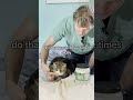 senior cat hairball remedy