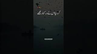 deep lines /Urdu poetry/Sad heart touching poetry/Urdu sad ghazal@shaheenokidunia
