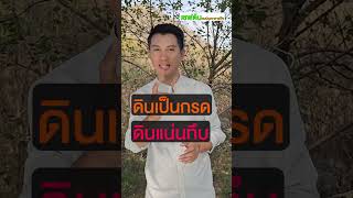 วิธีจัดการ “โรครากเน่า โคนเน่า” ให้ได้ผล❓