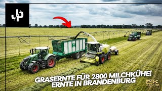 Grasernte für 2800 Milchkühe! 5000HA Betrieb in Brandenburg || JP Agrar