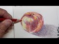 Colored pencil techniques    apple