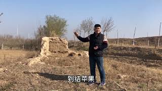 以前为什么都住在地里？现在只剩断壁残垣，你有这样的经历吗