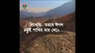  কবি মুহিব খানের গজল | এ বিজয় মুসলমানেরকবি মুহিব খানের গজলএ িজ মুসলমানের