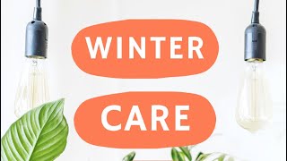 WINTER PLANT CARE ❄️