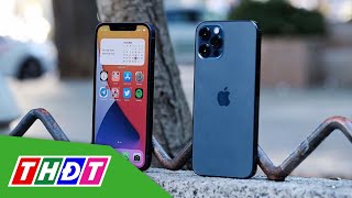 Giá hàng loạt mẫu iPhone đời cũ giảm cả chục triệu đồng | THDT